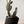 URBAN Planter