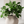 SEA Planter