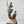ICO Planter