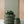 Triple BUBBLES Planter
