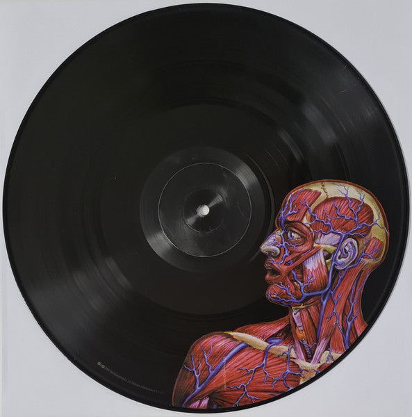 Tool - Lateralus [Full Color Picture Disc] 2x Vinyl LP Record