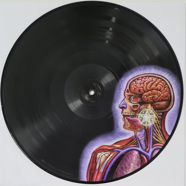 Tool - Lateralus [Full Color Picture Disc] 2x Vinyl LP Record