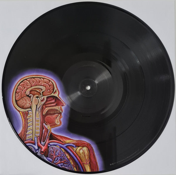 Tool - Lateralus [Full Color Picture Disc] 2x Vinyl LP Record
