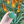 Granola Guy's Scrumptious Soil Scoop