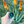Granola Guy's Scrumptious Soil Scoop
