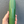 Granola Guy's Scrumptious Soil Scoop