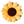 Sunflower Pillow - Golden Yellow