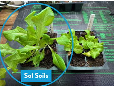 Seedling & Propagation Mix