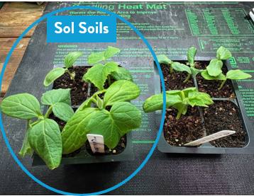 Seedling & Propagation Mix