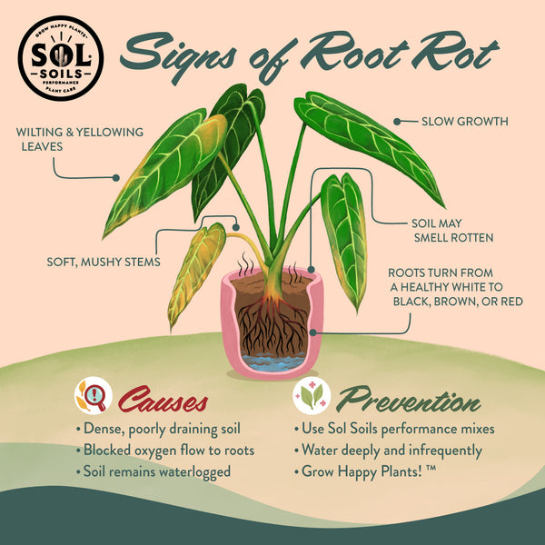 Seedling & Propagation Mix