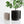 Hanging STREAM Wall Planter