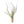Large Tillandsia Baileyi Air Plants / 6-9 Inch Plants