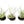 Fully Assembled Tillandsia Air Plant Dish Garden in Black Glazed Container