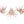 Large Tillandsia Capitata Peach Air Plants / 4-6 Inch Plants
