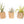 Set of 3 Large Driftwood Containers with Custom Tillandsia Air Plants