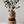Wonder Vase