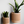 Hanging STREAM Wall Planter