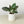 Knob Cylinder Pot - 5 Inch