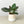 Gradient Cylinder Pot - 5 Inch