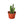 Fairy Castle Cactus