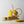 Bio Insecticide - Arber