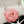 Camellia Plush Flower Pillow
