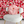 Camellia Plush Flower Pillow