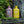 Disease & Insect Control Starter Set - Arber