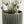 Hanging Sakura Planter