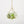 Air Plant Display Hanger - Brass