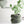 PASSAGE Watering Can