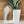 Dryer Sheet Liquid