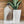 Dryer Sheet Liquid