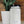 Laundry Soap - 64-128 Loads