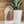Dryer Sheet Liquid