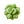 Lil' Pop Succulent®  - Olive Green
