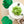 Lil' Pop Succulent®  - Olive Green