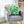 Lil' Pop Succulent®  - Sage Green