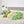 Lil' Pop Succulent®  - Sage Green