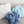 Lil' Pop Succulent® - Smokey Blue