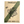Parsley - Dark Green Italian Flat Leaf