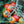 Tomato - Peacevine
