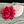 Philodendron Gloriosum Leaf Plush Pillow - Baby Pink