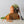 Plant Food - Arber