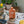 Plant Food - Arber