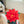 Poinsettia Pillow - Christmas Red