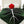 Poinsettia Pillow - Christmas Red