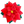 Poinsettia Pillow - Christmas Red