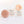 Shampoo & Conditioner Bar Duo