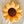 Sunflower Pillow - Golden Yellow